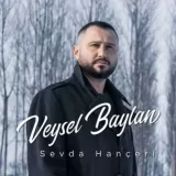 Veysel Baylan