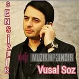 Vüsal Söz