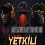 Yetkili