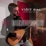 Yigit Bal