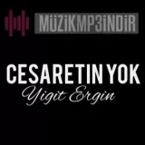 Yigit Ergin