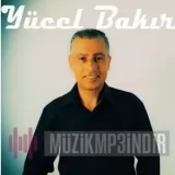 Yücel Bakır