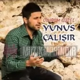 Yunus Çalışır