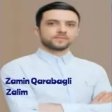 Zamin Qarabagli