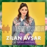 Zilan Avshar