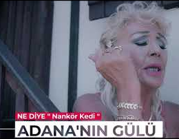Adananın Gülü -  album cover