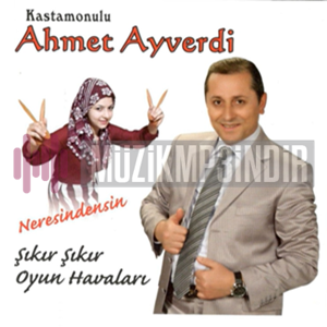 Ahmet Ayverdi