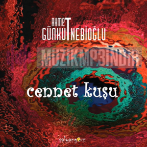 Ahmet Günkut Nebioğlu -  album cover