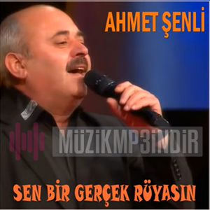 Ahmet Şenli