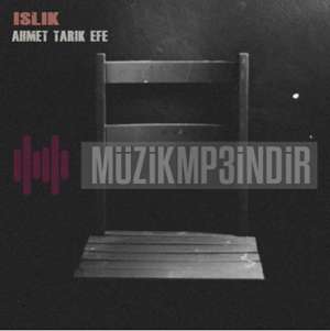 Ahmet Tarik Efe