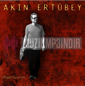 Akın Ertübey