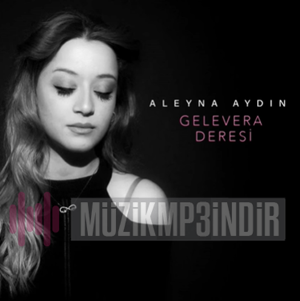 Aleyna Aydın