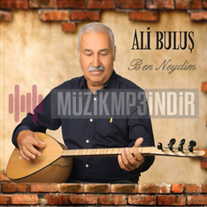 Ali Buluş