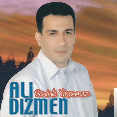 Ali Dizmen