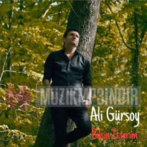 Ali Gursoy