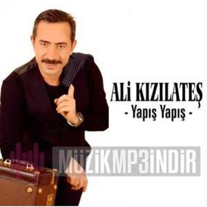 Ali Kızılateş