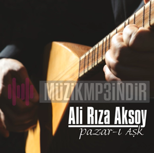 Ali Riza Aksoy