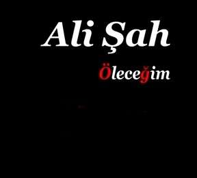 Ali Şah -  album cover