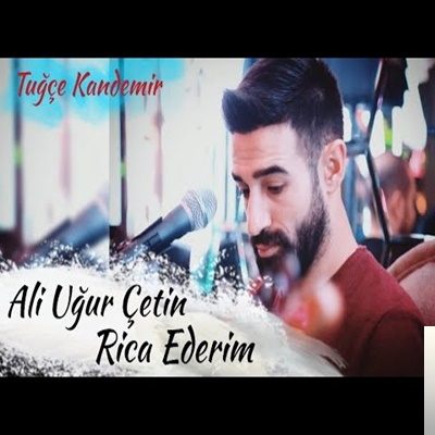 Ali Ugur Chetin