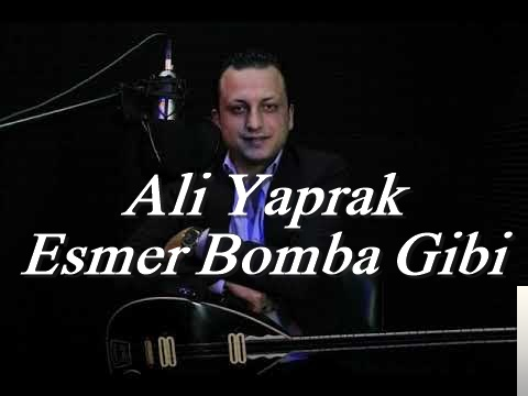 Ali Yaprak