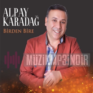 Alpay Karadag