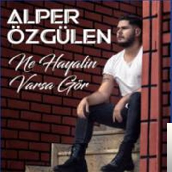 Alper Ozgulen