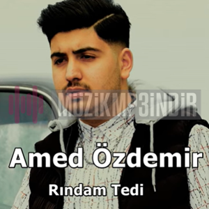 Amed Özdemir -  album cover