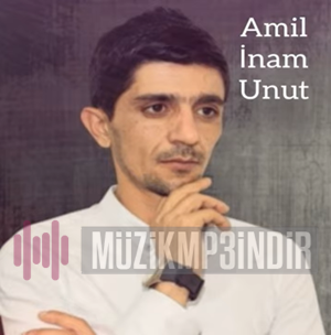 Amil inam