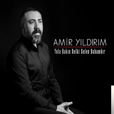 Amir Yildirim