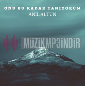 Anil Altun