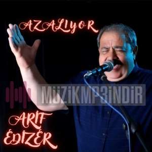 Arif Edizer