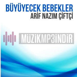 Arif Nazım Çiftçi