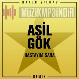 Asil Gok