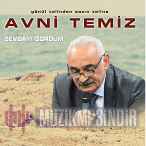 Avni Temiz