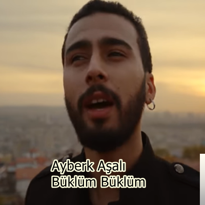 Ayberk Aşalı