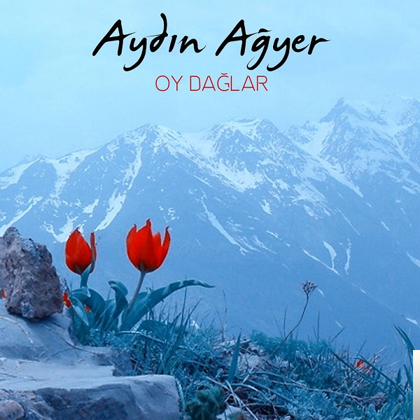 Aydin Agyer