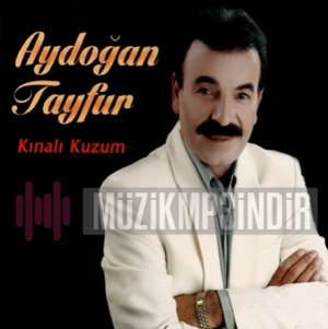 Aydogan Tayfur