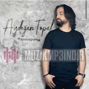 Aydoğan Topal -  album cover