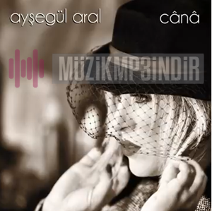 Ayşegül Aral