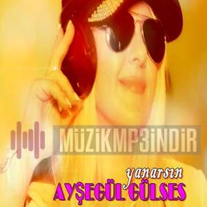 Ayshegul Gulses