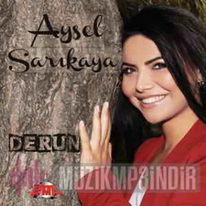 Aysel Sarikaya