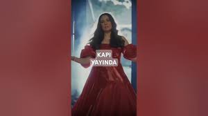 Ayshenur Gok