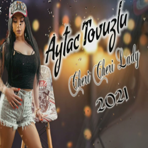 Aytaç Tovuzlu -  album cover