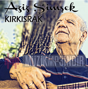 Aziz Şimşek