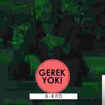 B Red - Gerek Yok (2019) Albüm