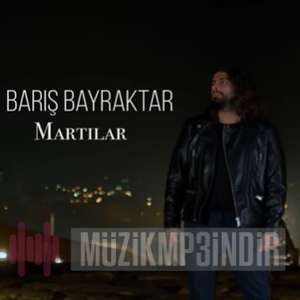 Barış Bayraktar