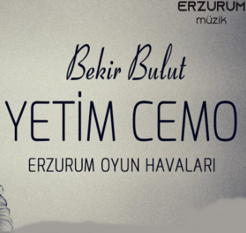 Bekir Bulut