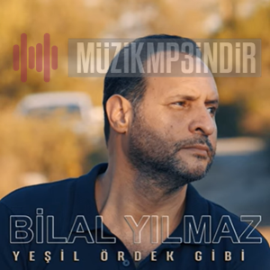 Bilal Yılmaz -  album cover
