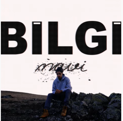 Bilgi -  album cover