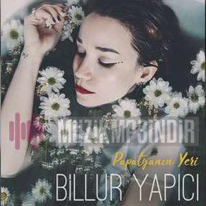 Billur Yapici